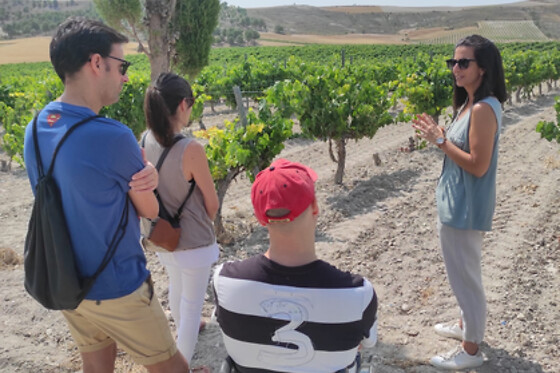 LYNUS, VIÑEDOS Y BODEGAS - photo 1