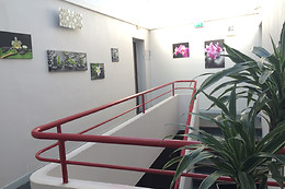 Au Royal Hotel