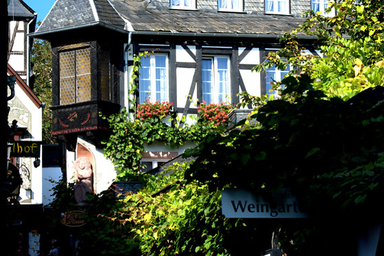 Hotel Lindenwirt - photo 14