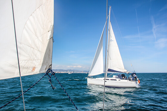 ALAMAR SAILING - photo 10