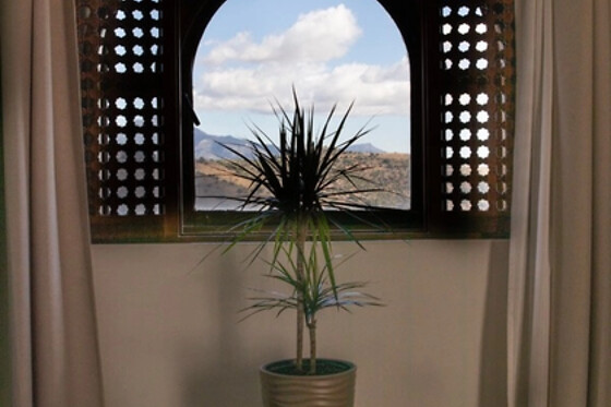 HOTEL CASTILLO DE MONDA - photo 16