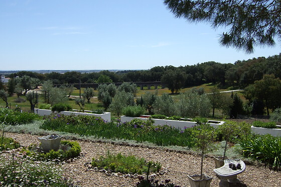 Quinta do Cano - photo 7