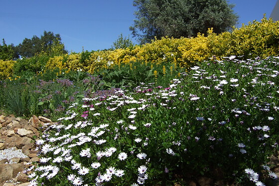 Quinta do Cano - photo 11