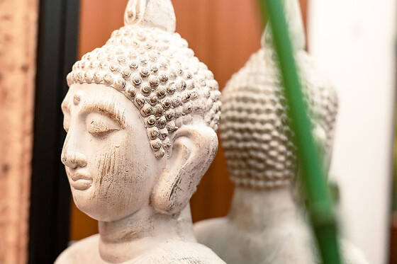 MANDALA WELLNESS - photo 0