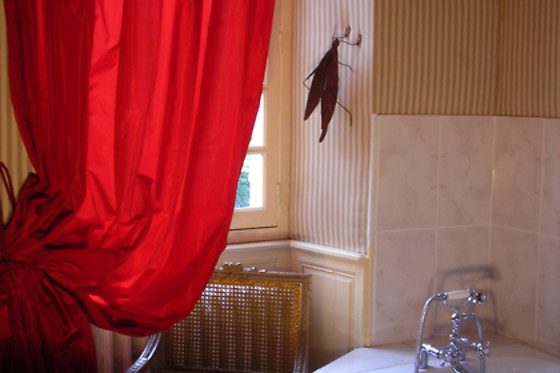 La Marronnière - photo 5