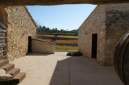 MAS RODO VITIVINICOLA