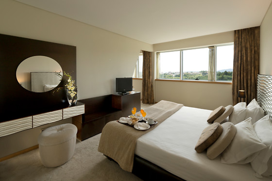 PENAFIEL PARK HOTEL & SPA - photo 15