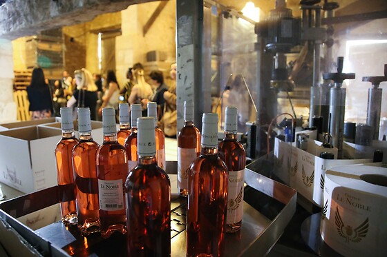 Château Le Noble - photo 6