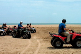PARC D'AVENTURA I NATURA DELTAVENTUR