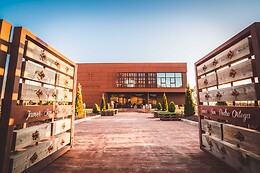 BODEGAS JAVIER SAN PEDRO ORTEGA