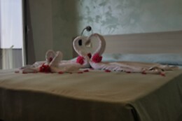 Online Booking EPS