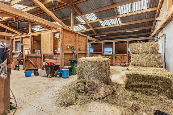 Absa-Ranch - photo 4