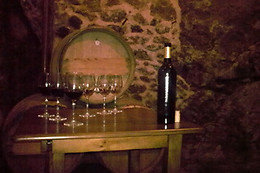 BODEGAS Y VIÑEDOS MAYO GARCIA