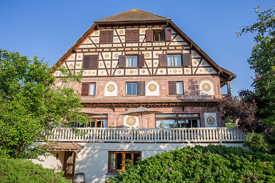 Hôtel Le Verger des Châteaux - The Originals Relais Sélestat Nord - photo 9