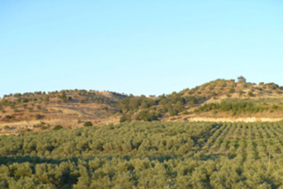 Agri-Club - photo 5