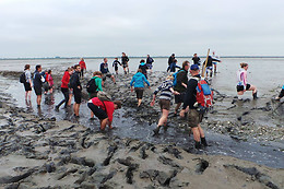 Wadlopen Pieterburen