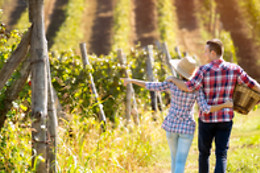 BODEGAS BOCOPA