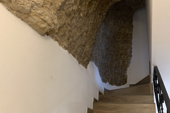CASA CUEVA LAS CALCETAS - photo 2