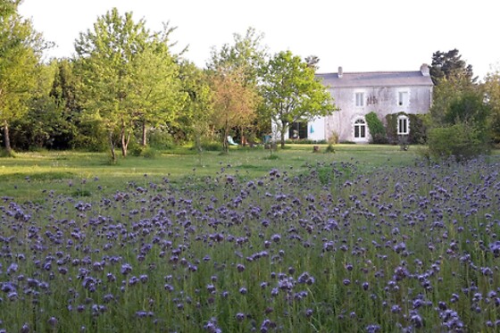 Quiheix O'Calme - photo 12