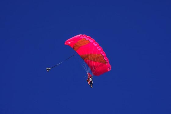 Paradrenalin' - photo 2