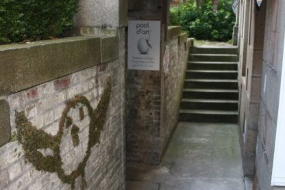 Pool d'art - photo 11