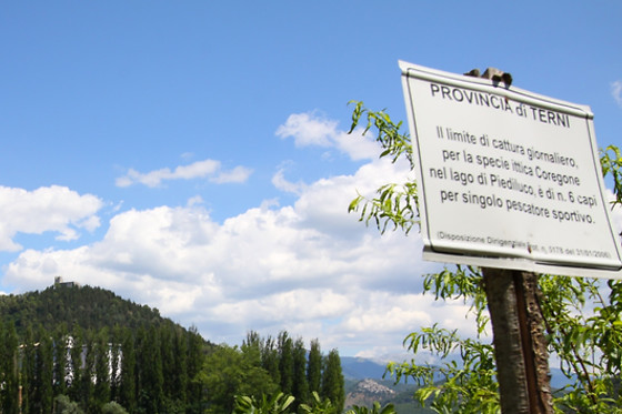 Hotel del lago Piediluco - photo 2