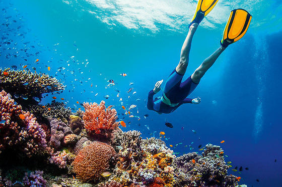 SOTACERO DIVING - photo 2