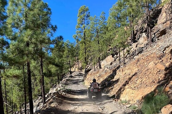 FUN TEIDE QUAD - photo 1