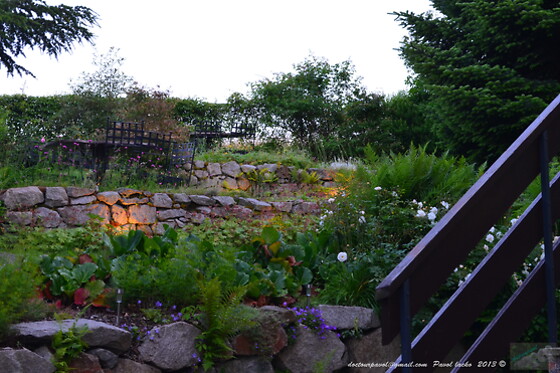 Hotel-Restaurant MARCHAL - photo 1
