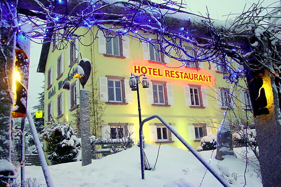 Hotel-Restaurant MARCHAL - photo 6