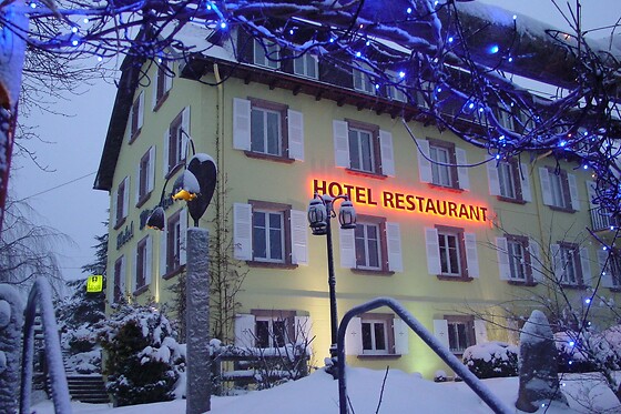 Hotel-Restaurant MARCHAL - photo 8