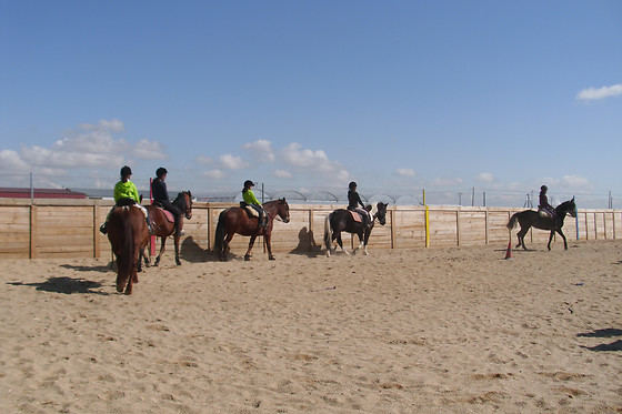 CENTRO ECUESTRE LOS CABALLOS DE LA RIBERA - photo 2