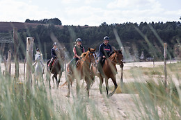 Sables d'Or Equitation