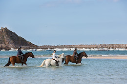 Sables d'Or Equitation