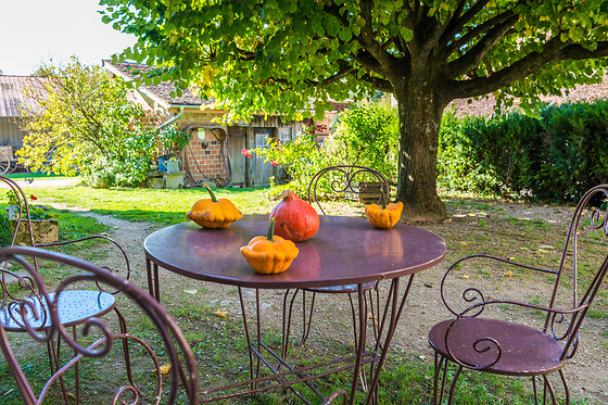 Le Prieuré de Fouchères - photo 6