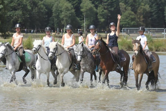 Chartres équitation - photo 2