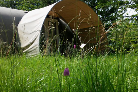 Camping La Bastide - photo 6