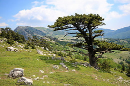 Il Terrazzo sul Sinni