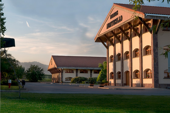 BODEGAS OSBORNE MONTECILLO - photo 0