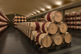 BODEGAS OSBORNE MONTECILLO