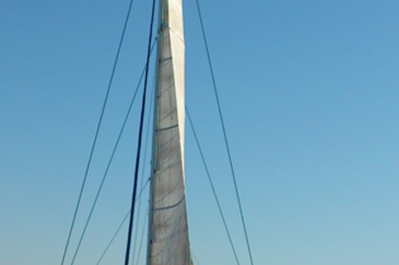 MUNDO MARINO ALICANTE - photo 3