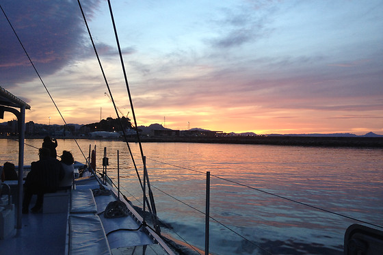 MUNDO MARINO ALICANTE - photo 8