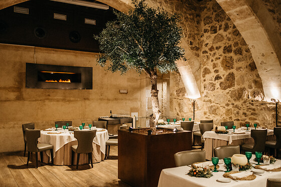 HOSPES PALACIO DE SAN ESTEBAN - photo 11