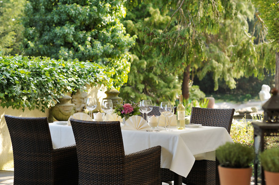 Hotel Schloss Edesheim - photo 6