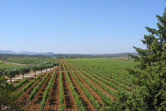 QUINTA DO CARNEIRO - photo 0