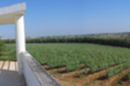 QUINTA DO CARNEIRO
