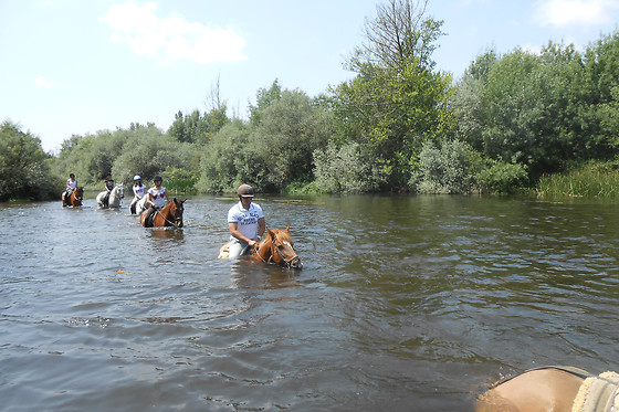 CENTRO ECUESTRE LOS CABALLOS DE LA RIBERA - photo 3