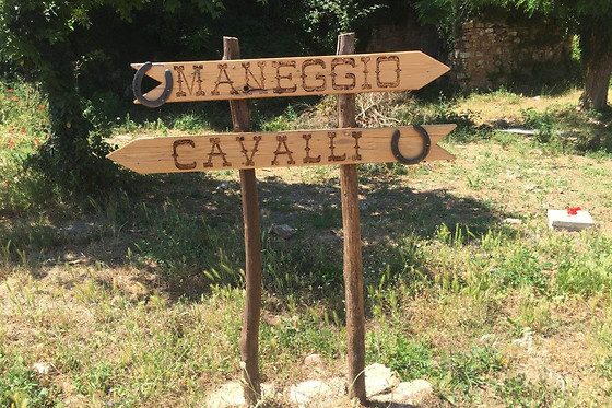 ASD La Natura A Cavallo - photo 5