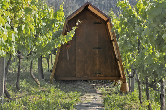 CIMO DA VINHA Nature Spot - photo 5
