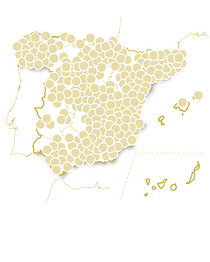 Bodegas y tapas